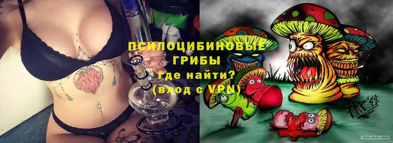 Галлюциногенные грибы MAGIC MUSHROOMS  KRAKEN как войти  Саки 